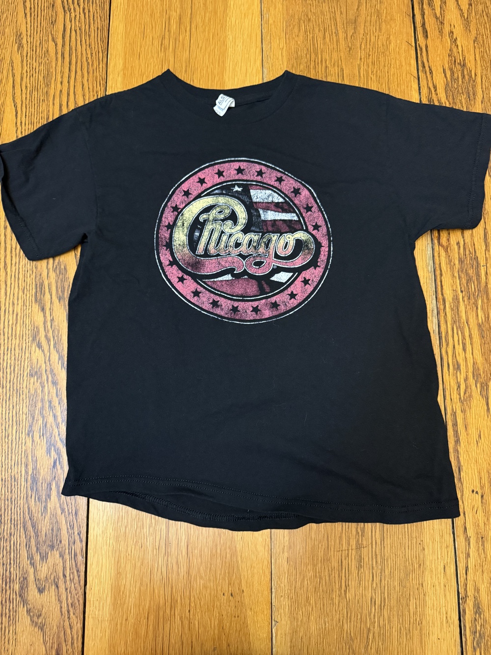 Chicago Shirt Mens Medium 2021 North American Tour Band Tee Alstyle Heavyweight